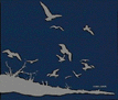 seashore