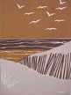 seashore