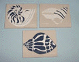 more shells
