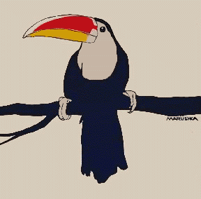 Toucan