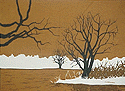 wetlands scene