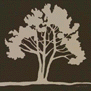 broccoltree