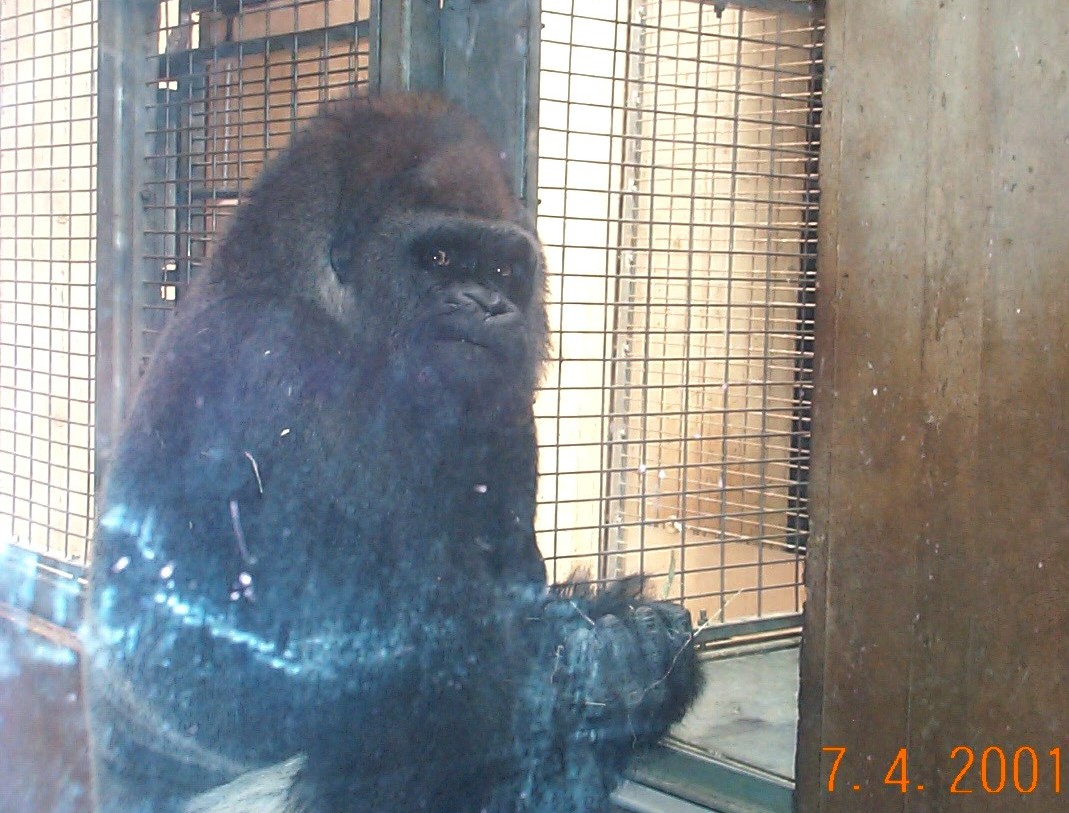 Our friend