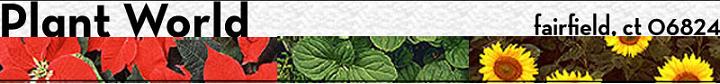 Plant world logo