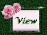View my brand new guestbook! 