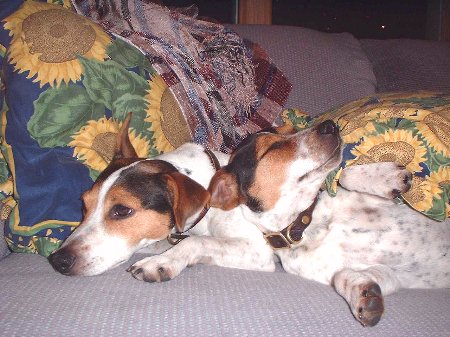 crash and bang relax...
