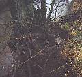 bang on a creek bank