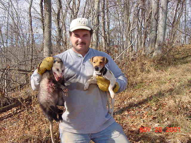 jeff, pounce, and opossum!