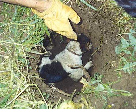crash on a dig