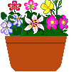 flower pot