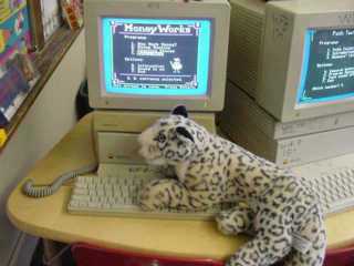 IIGs