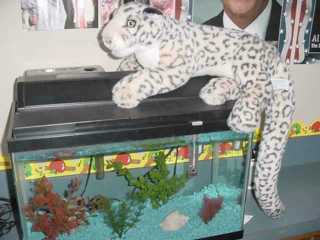 aquarium