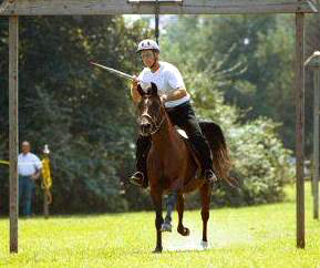 Ron Vogel
