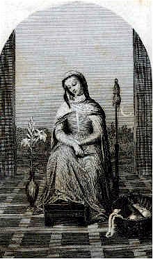 wpe1.jpg (36441 bytes)