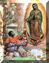 Our Lady arranged the exquisite roses in Juan Diego's tilma with her own beautiful hands.