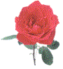 rose1.gif (3279 bytes)