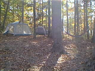 Our Front yard in North Carolina