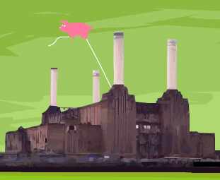 click here to play Shoot the PIG...