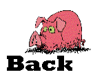 go back where you came from!