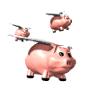 Flying PIGgies