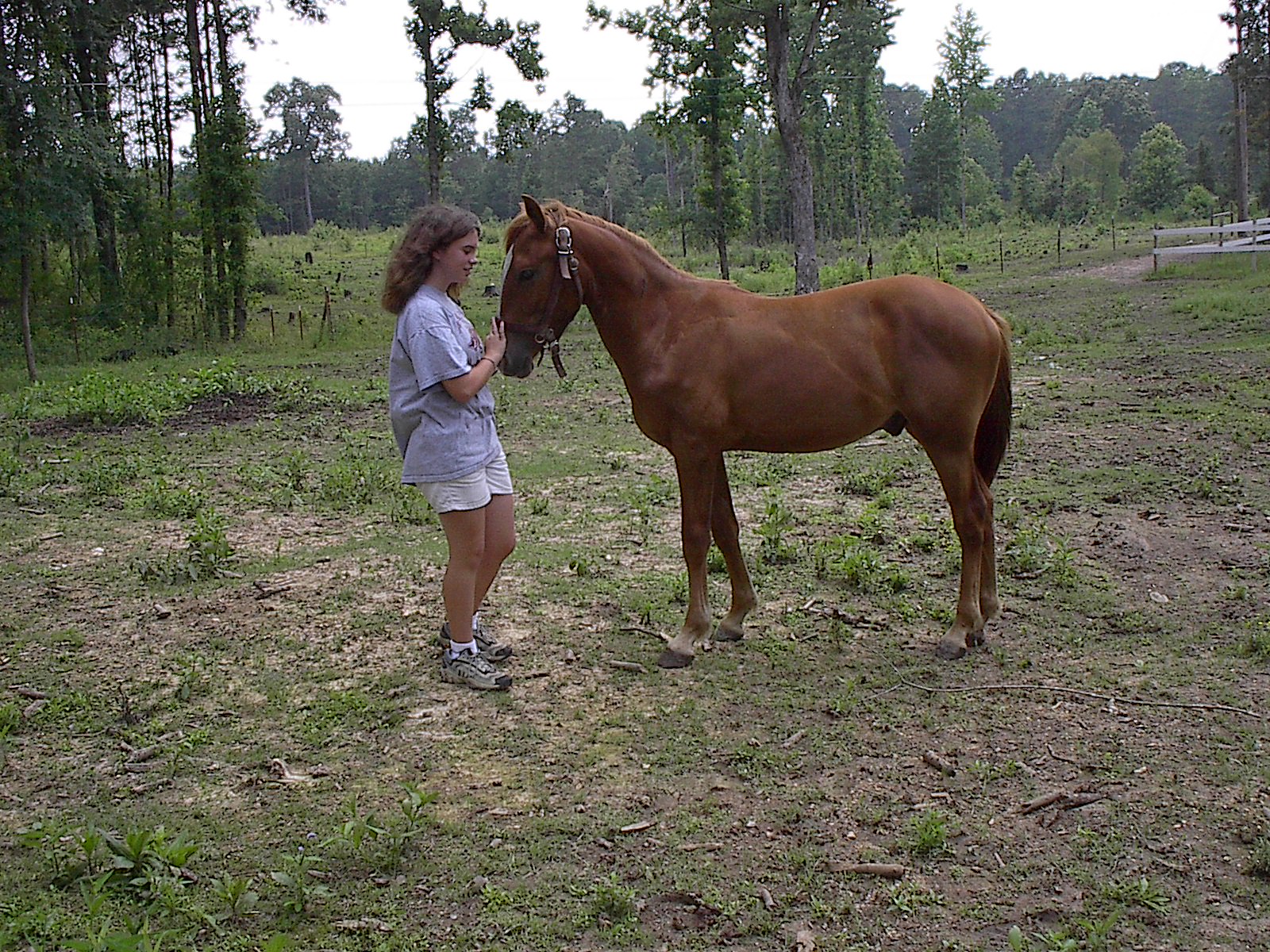 Jesse Lea and Montello Bar-Lea, who was named for Jesse