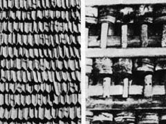 lancet.jpg (14285 �o�C�g)