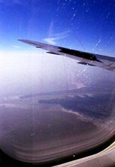 fly.jpg (7416 �o�C�g)