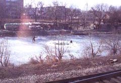 ice.jpg (12999 �o�C�g)