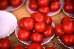 tomatoes.jpg (6932 �o�C�g)