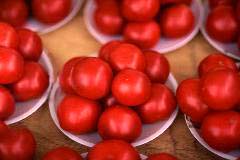 tomatoes2.jpg (7349 �o�C�g)