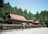 hongu.jpg (9535 �o�C�g)
