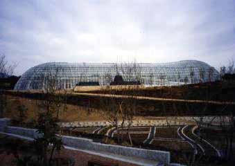 g_house1.jpg (10045 �o�C�g)