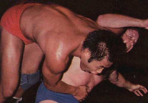 Dory Funk Jr. vs. Jumbo Tsuruta