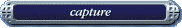capture - basic