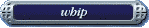 kneeling to the whip - basic