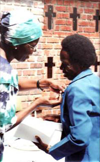 Tsitsi