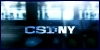 Everything's Connected: Crime Scene Investigation: New York