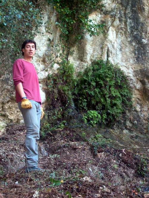 La font del Beltran