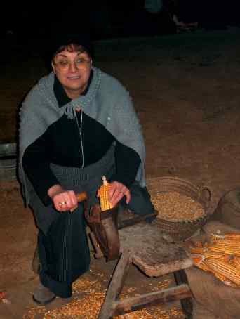 Desgranadora de pan&iacute;s
