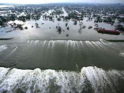 Katrina, What Now?