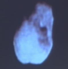 While NASA  and JPL are reporting to the world and its amazing Deep Impact historical events we in BPE marked our  own milestone yet again in historical events together. But nothing could compare to the Leonids  Meteors or the comets watch to witnessing Deep Impact last night.