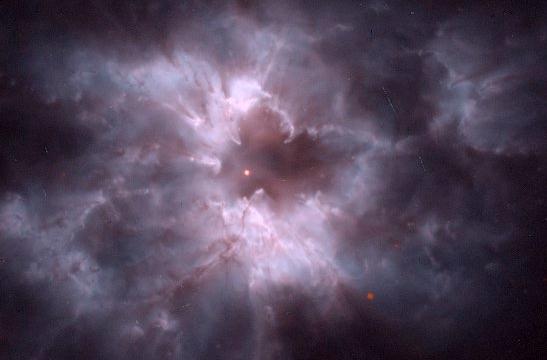 dwarf arcturus