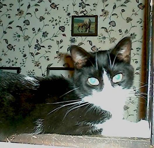 Mikey 3rd Sept 7/2003