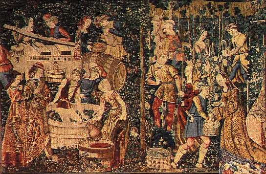 The Wine Harvest