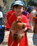 bjmchicken.jpg (46567 bytes)