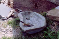 lavandino.jpg (35879 byte)