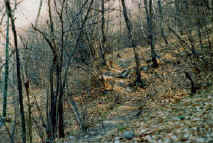 val di ratt 2.jpg (47877 byte)