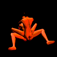 ks-blackbee.gif (11034 byte)