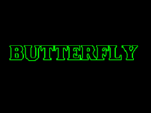 Butterfly