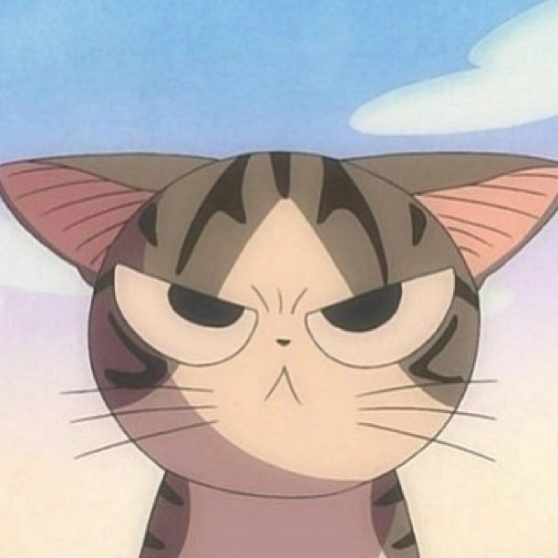 Cat :3